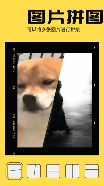动图表情包app图2