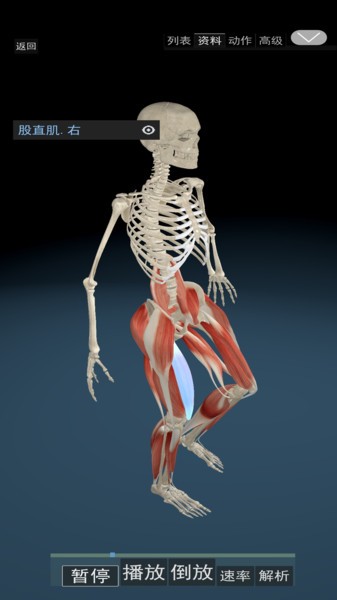3D运动解剖通用版图1