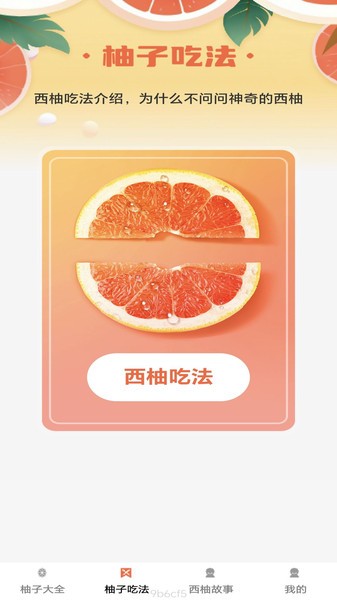 西柚多多免费原版(1)