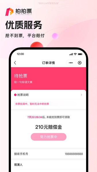 拍拍票代拍正版图3