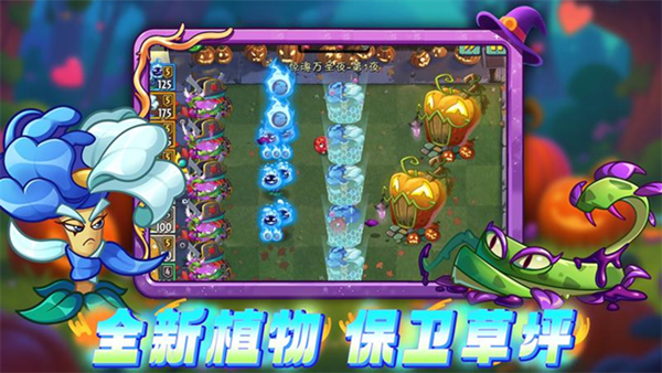 植物大战僵尸2决战通用版图5