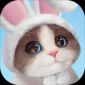 我和我的猫安卓版