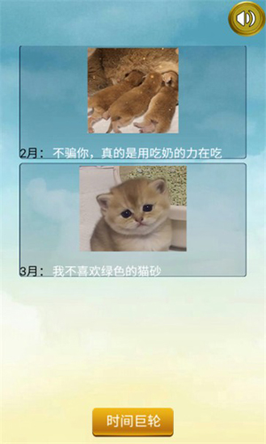 猫的一生重启模拟器安卓官方版图1