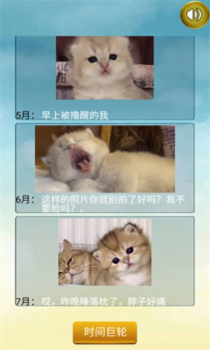 猫的一生重启模拟器安卓官方版图3