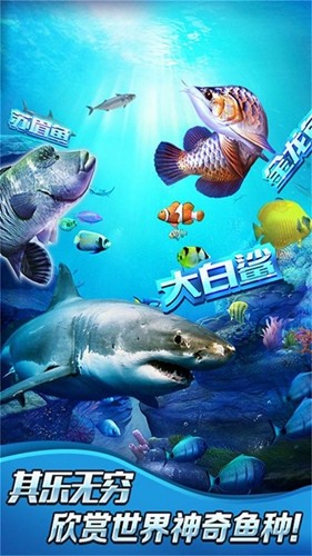 全民钓鱼2最新版2026图4