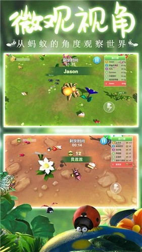 蚂蚁行军团手机免费版(4)