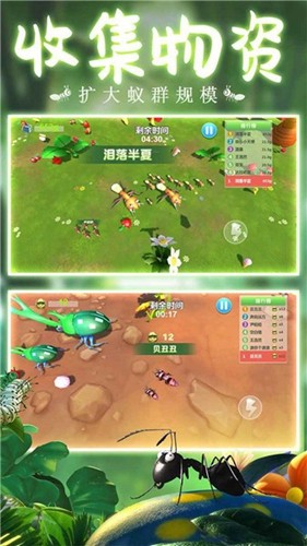蚂蚁行军团手机免费版(2)