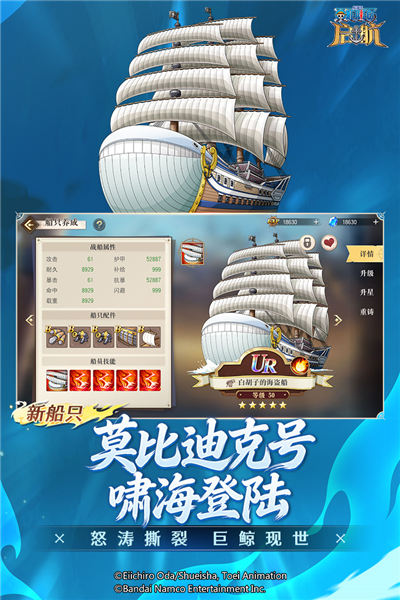 航海王启航国际服游戏正版图5
