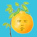 长脸的树官方版