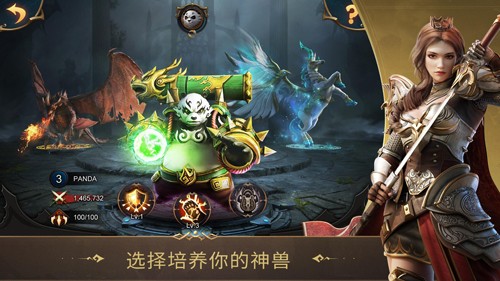 战火与秩序国际服图2