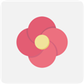 乖咔壁纸 V1.4.8