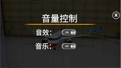 遨游中国飞机模拟器安卓版(3)
