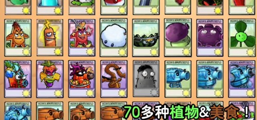 植物大战僵尸时空之乱玩家自制版(2)