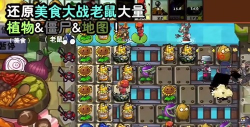 植物大战僵尸时空之乱玩家自制版(1)