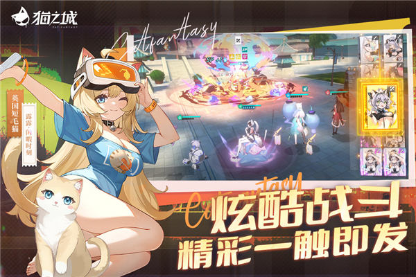 猫之城2026正版图5