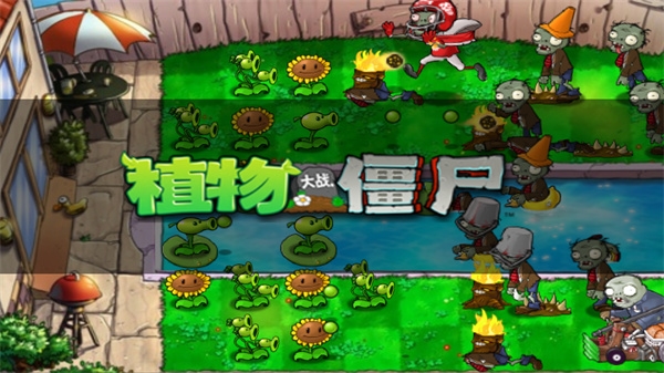 植物大战僵尸经典版(2)