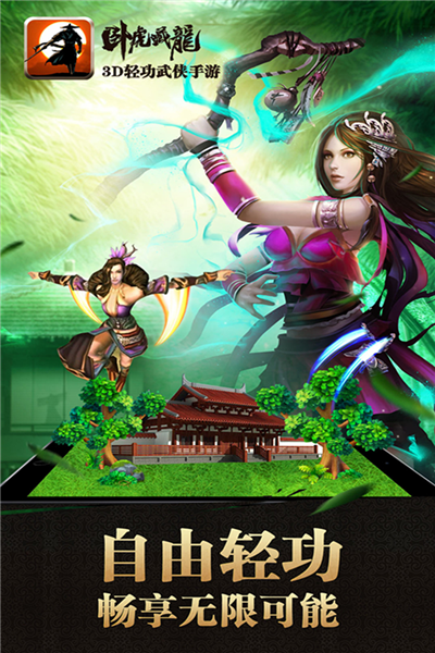 卧虎藏龙变态版图3