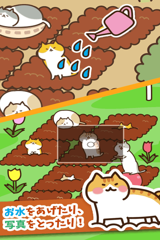 猫咪田园图2