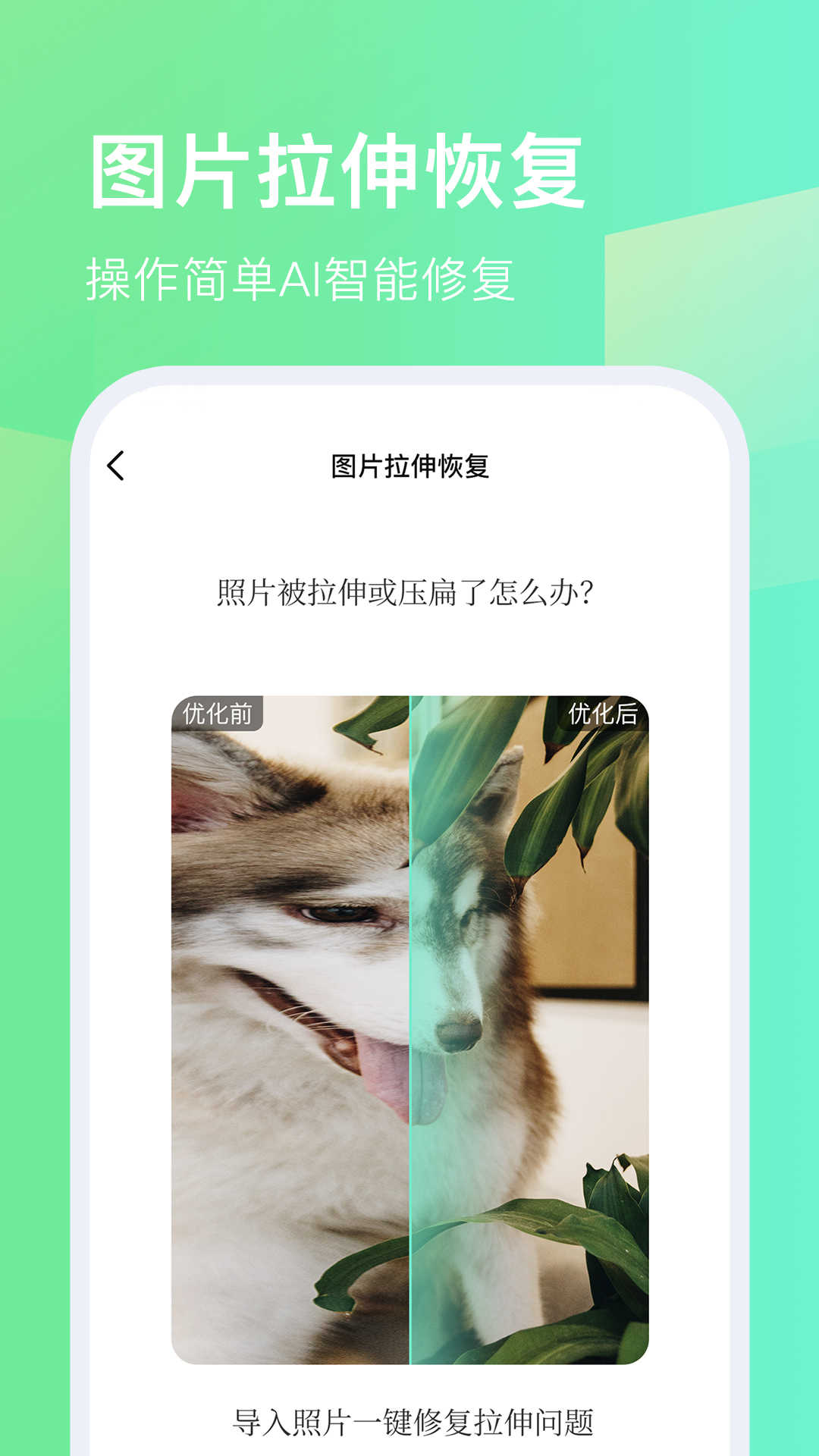 随心改水印相机图2