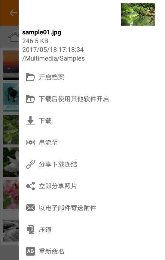 QfilePro