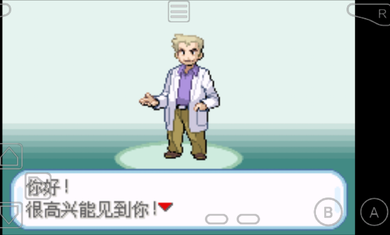 口袋妖怪火红白金版图1