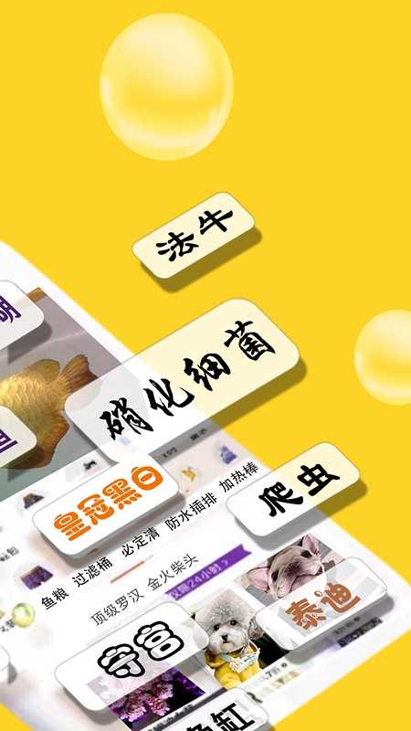 闲小宠(1)