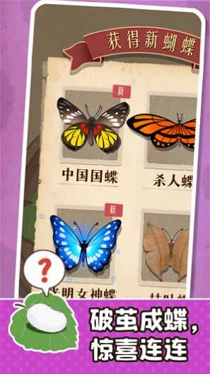 小小养蚕师游戏官方最新版