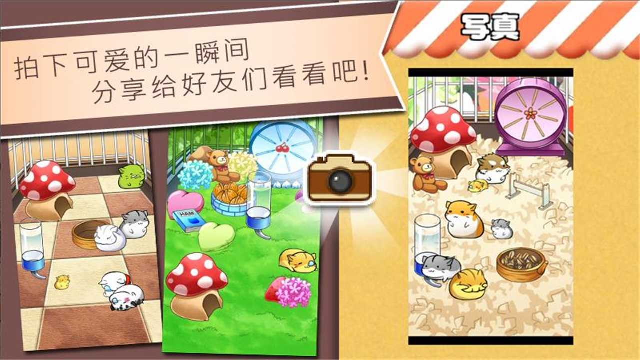 仓鼠的日常(Hamster Life)