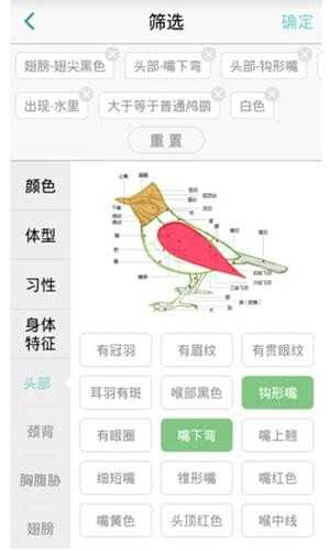 懂鸟图3