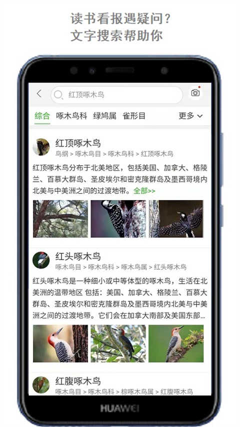 万物识别