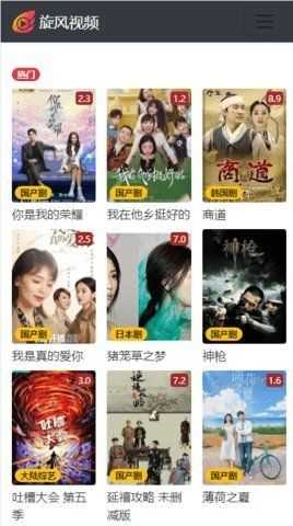 旋风视频官网版