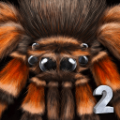 终极蜘蛛模拟器2(SpiderColonySimulation3D)无广告版