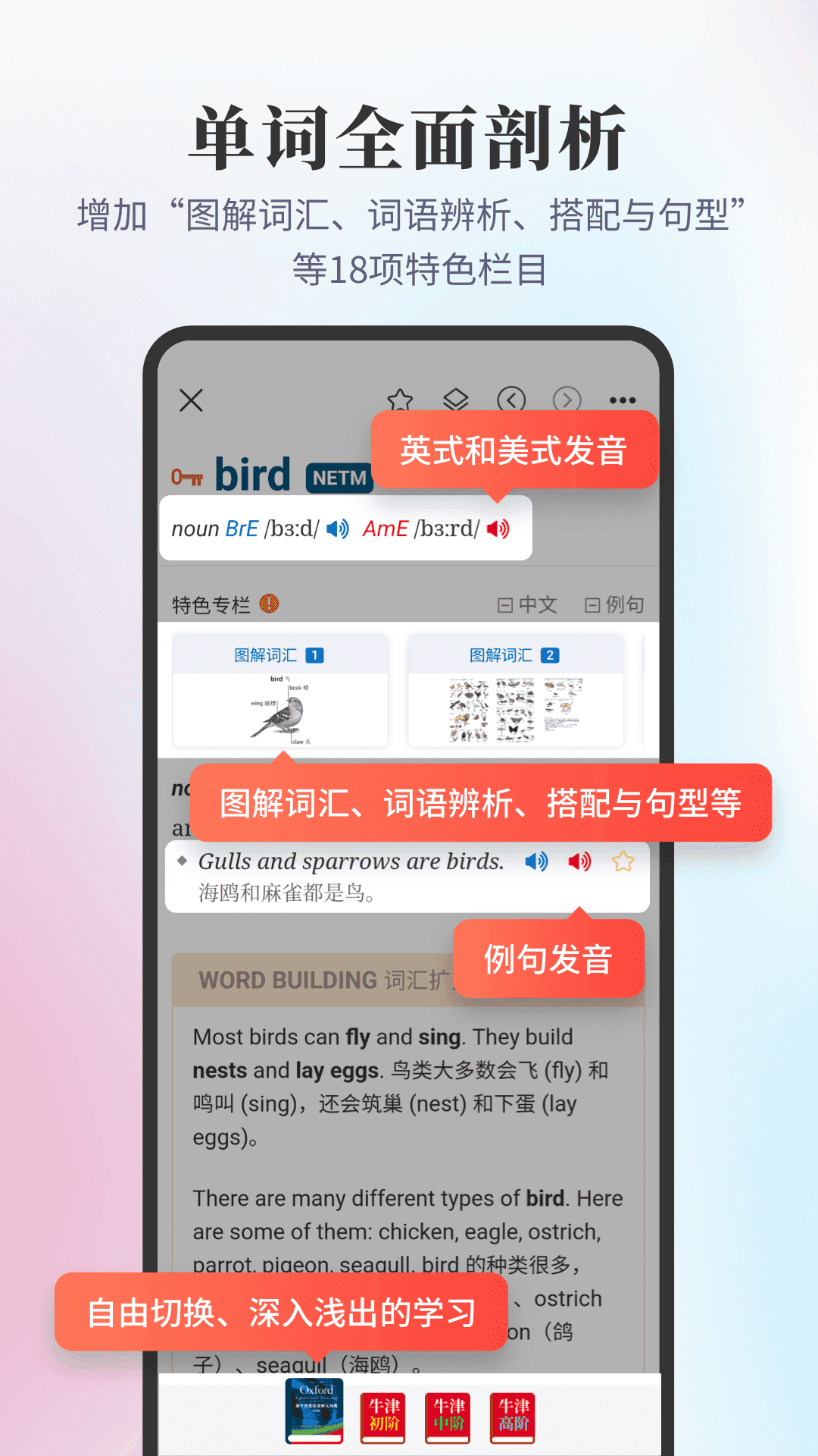 牛津词典手机最新版图3