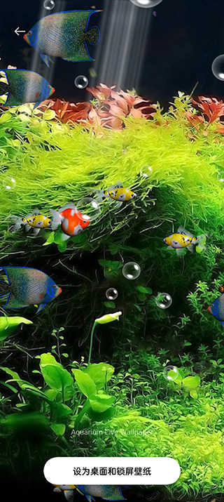 水族馆动态壁纸桌面屏保