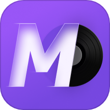 谜底黑胶(MD Vinyl)