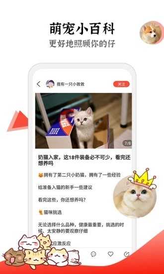 猫猫社区最新版图3