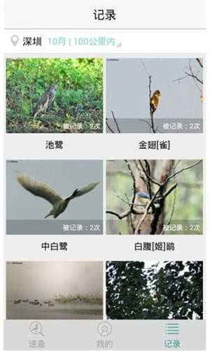 懂鸟图1