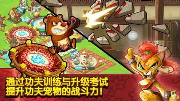 功夫宠物