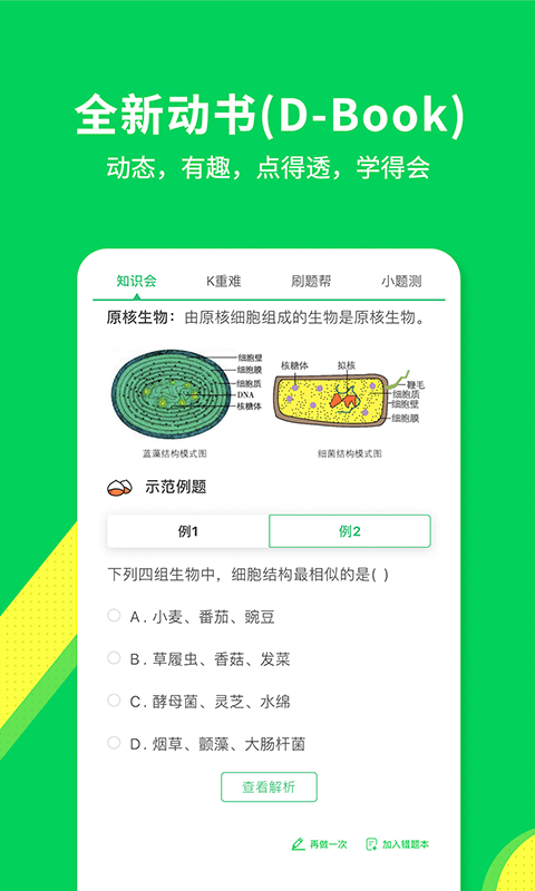 包学习(2)