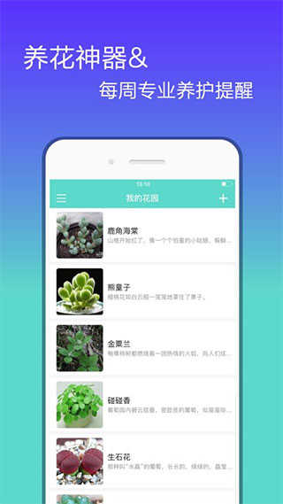 花信官方正版图1