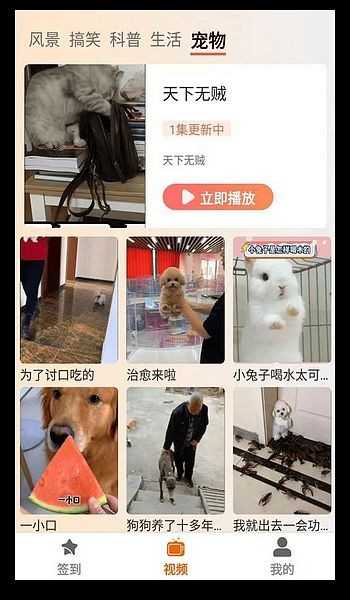 塔奇剧场影视