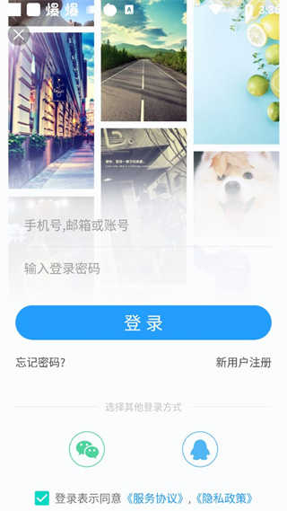 搞趣壁纸图4