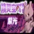 口袋妖怪紫光金手指通用版