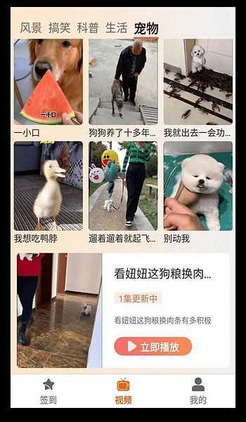塔奇剧场影视