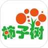 柿子树官方版