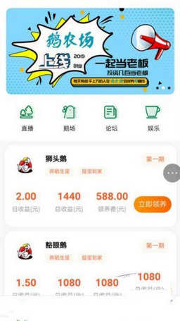 鹅农场