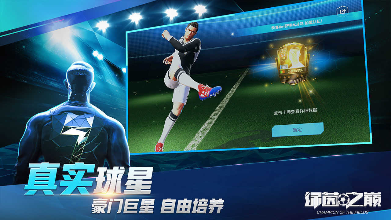 绿茵之巅手机正版图4