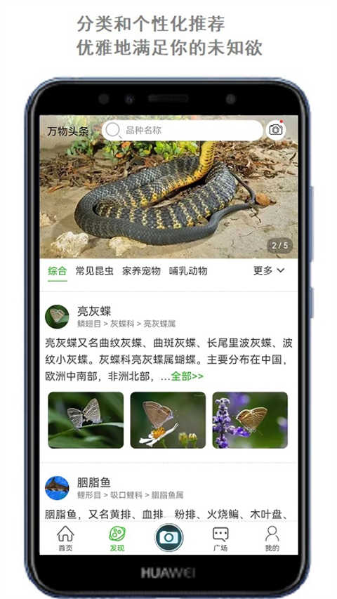 万物识别