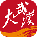 大武汉无广告版