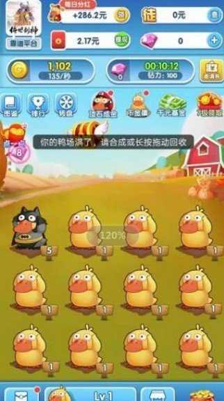 我鸡养得贼6手机版图3